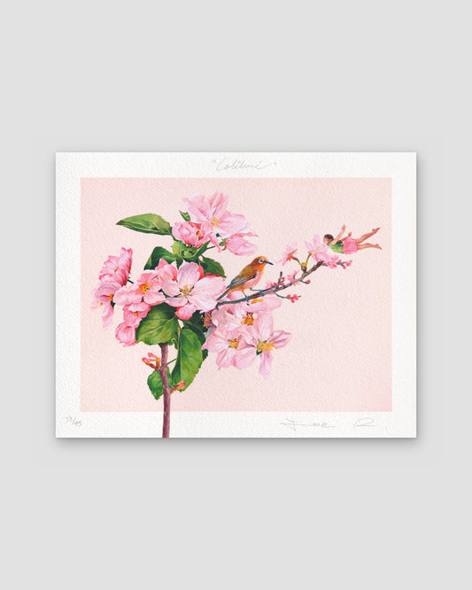 Colibrí / Limited Edition Giclee