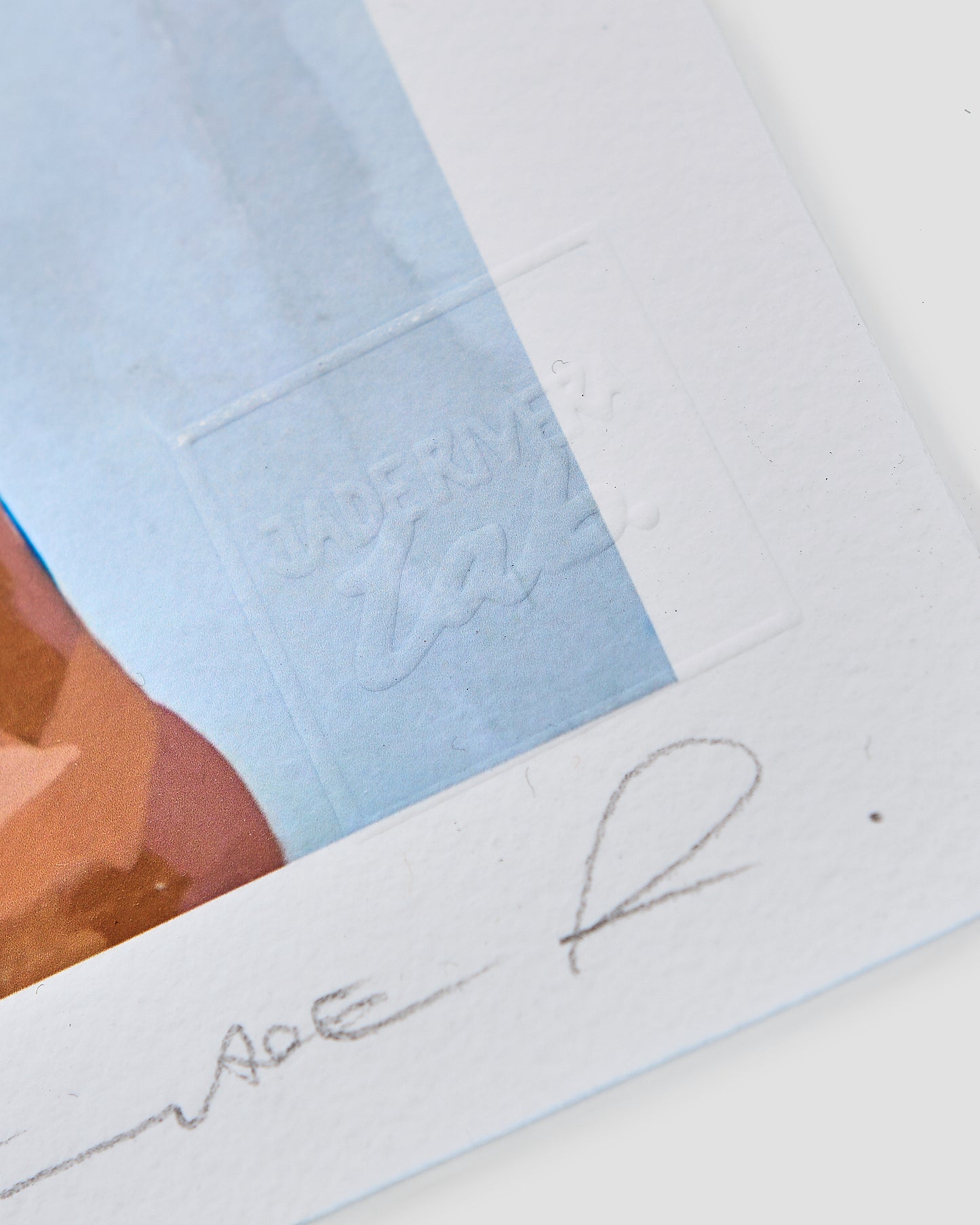 Flor Amarilla / Limited Edition Giclée
