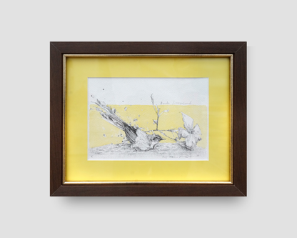 Un Arroyo de Sueños / Original Piece