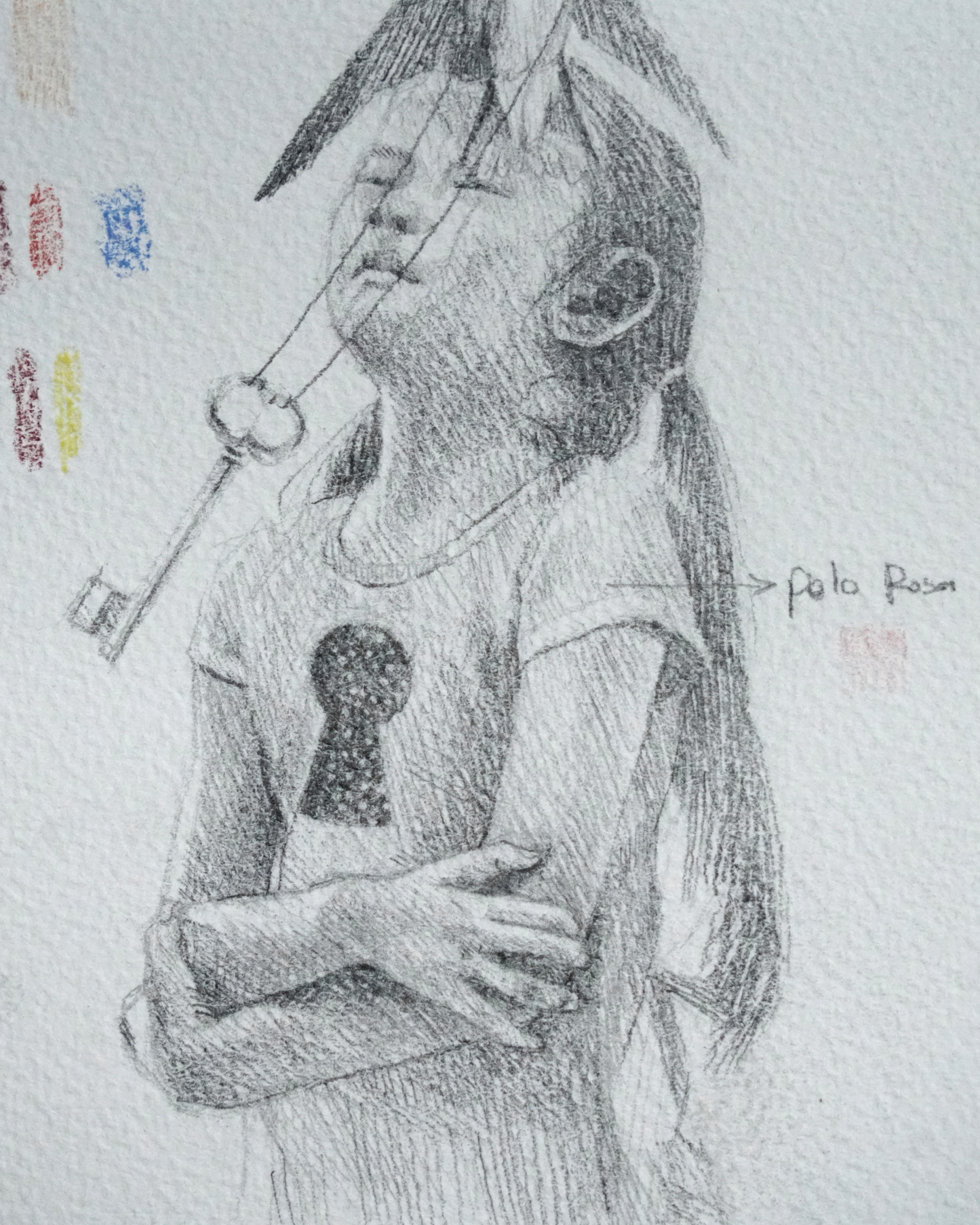 El vuelo de la golondrina / Original Piece